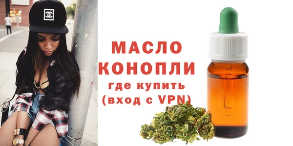 сатива Новодвинск
