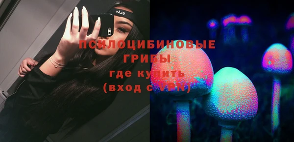 твердый Новозыбков