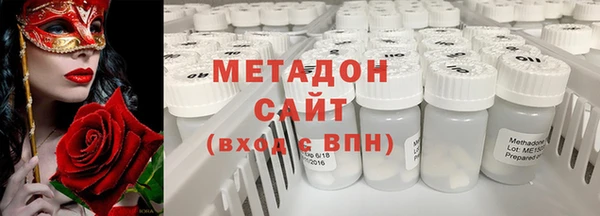 сатива Новодвинск