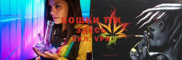 сатива Новодвинск