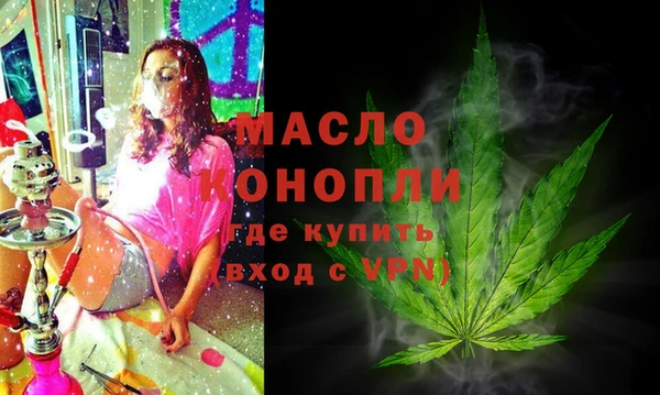 твердый Новозыбков