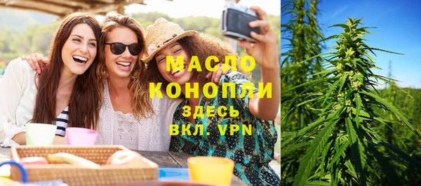сатива Новодвинск