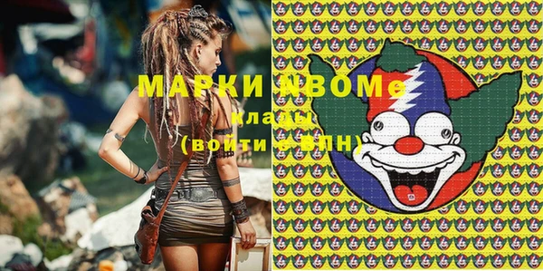 твердый Новозыбков