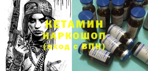 сатива Новодвинск
