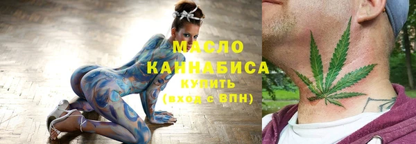 твердый Новозыбков